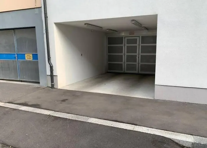 Vor Dem Tore Schoenbrunn *